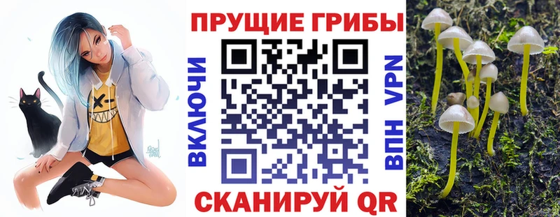 Псилоцибиновые грибы мицелий Купить закладки Оха